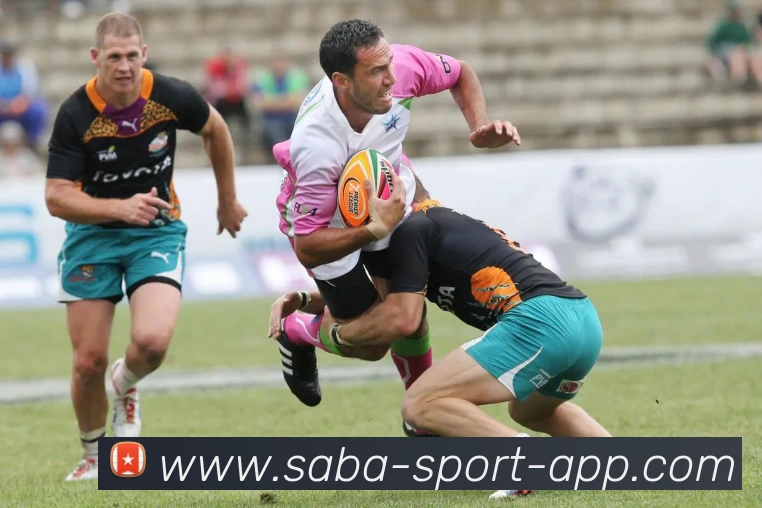 沙巴体育APP 封面图